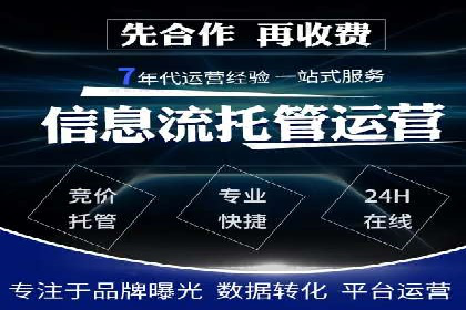SEM主管实战技巧：案例分享与解读